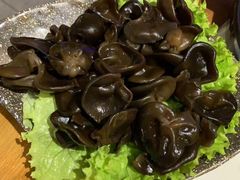 木耳-哈拉海和牛主题餐厅(哈西店)