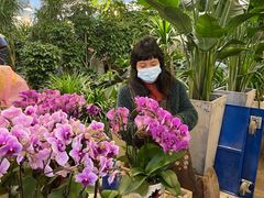 -双季花艺园艺市场(浦东店)