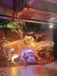 -恐龙探索乐园(磁器口店)