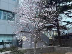 -八两八金·莱芜特色炒鸡(市南漳浦路店)