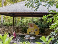 -厦门日月谷温泉渡假村