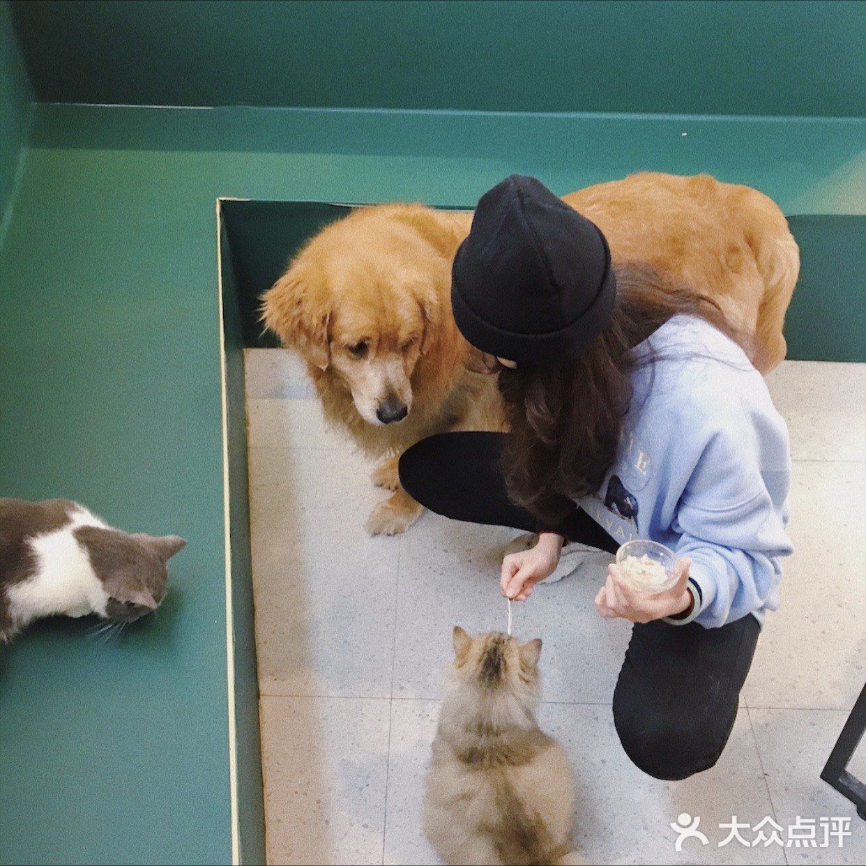 打卡一家可以rua猫又可以撸狗的店