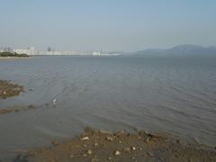 -老字号蛇口德记烧腊饭店·海鲜加工