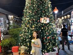 -席娜卡琳火车铁道夜市