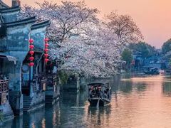 -枫桥夜泊