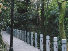 -十八棵（老龙井）御茶园(老龙井店)