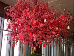 iphone_upload_pic-视界美食自助餐厅·石家庄希尔顿酒店