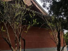 -洛阳白马寺