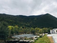 -林芝工布庄园希尔顿酒店-猎味中餐厅