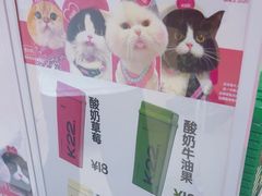 -K22.酸奶草莓(长春上海路万达店)