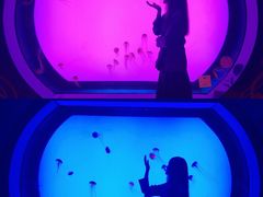 -沈阳海洋探索中心