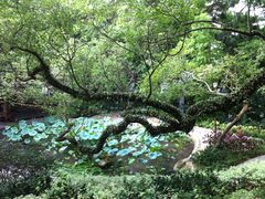 -香港大学