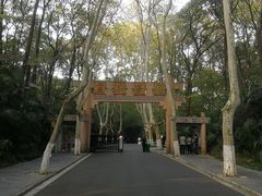 -灵谷景区