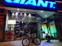 -GIANT捷安特自行车专卖店(金桥台儿庄路店)