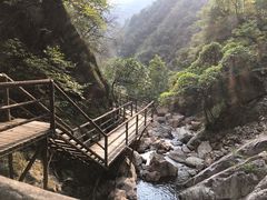 -东天目山风景区