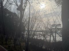 -金鸡湖桃花岛