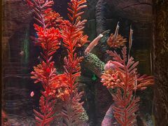 -沈阳海洋探索中心