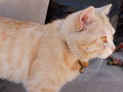 -炊烟餐厅