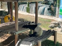 -栾川竹海野生动物园