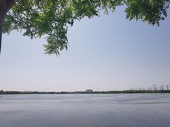 -天津东丽湖风景区