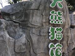 -昆明动物园