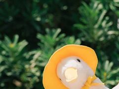 -麻喜大