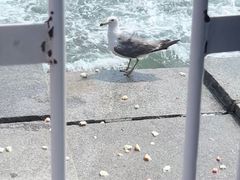 -星海广场