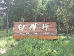 -塞罕坝国家级自然保护区