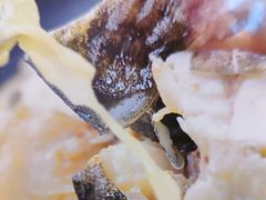 -陈大锅·岳阳鱼馆·地道岳阳菜(美食街店)