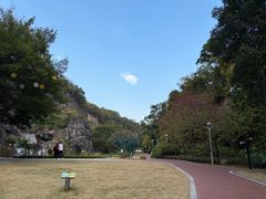 -金鸡山公园
