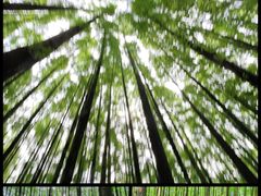 -山王坪喀斯特国家生态公园