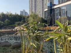 -苏州河梦清园环保主题公园