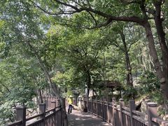 -沂蒙山旅游区云蒙景区(蒙山国家森林公园)