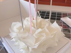 至美14cmx14cm-BLACKSWAN黑天鹅(环球店)