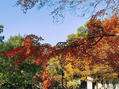 -惠山古镇·寄畅园