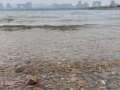 -长广溪湿地公园