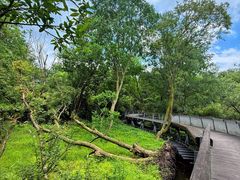 -西湖风景区-江洋畈生态公园
