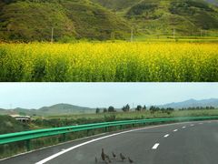 -苏木山森林公园