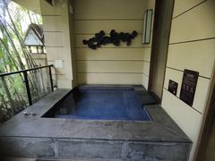 -碧桂园润杨溪谷温泉酒店