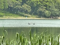 -新洲生态园