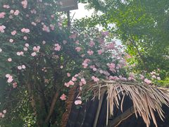 -楠柏弯休闲山庄(梨花溪店)