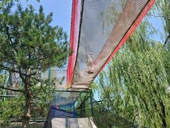-回龙观体育文化公园