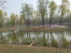 -东郊湿地公园