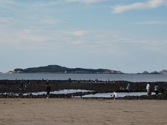 -长江澳风力发电景观区