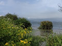 -西昌邛海湿地