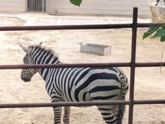 -青藏高原野生动物园