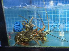 -四川小胡子海鲜(丁村万人海鲜广场店)