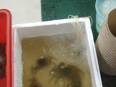 -新农都水产市场