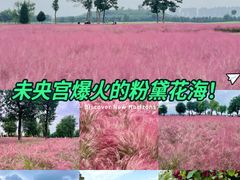 -汉长安城未央宫国家考古遗址公园