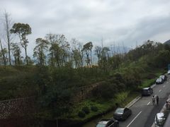 -千岛湖忆湖度假酒店(中心湖景区店)